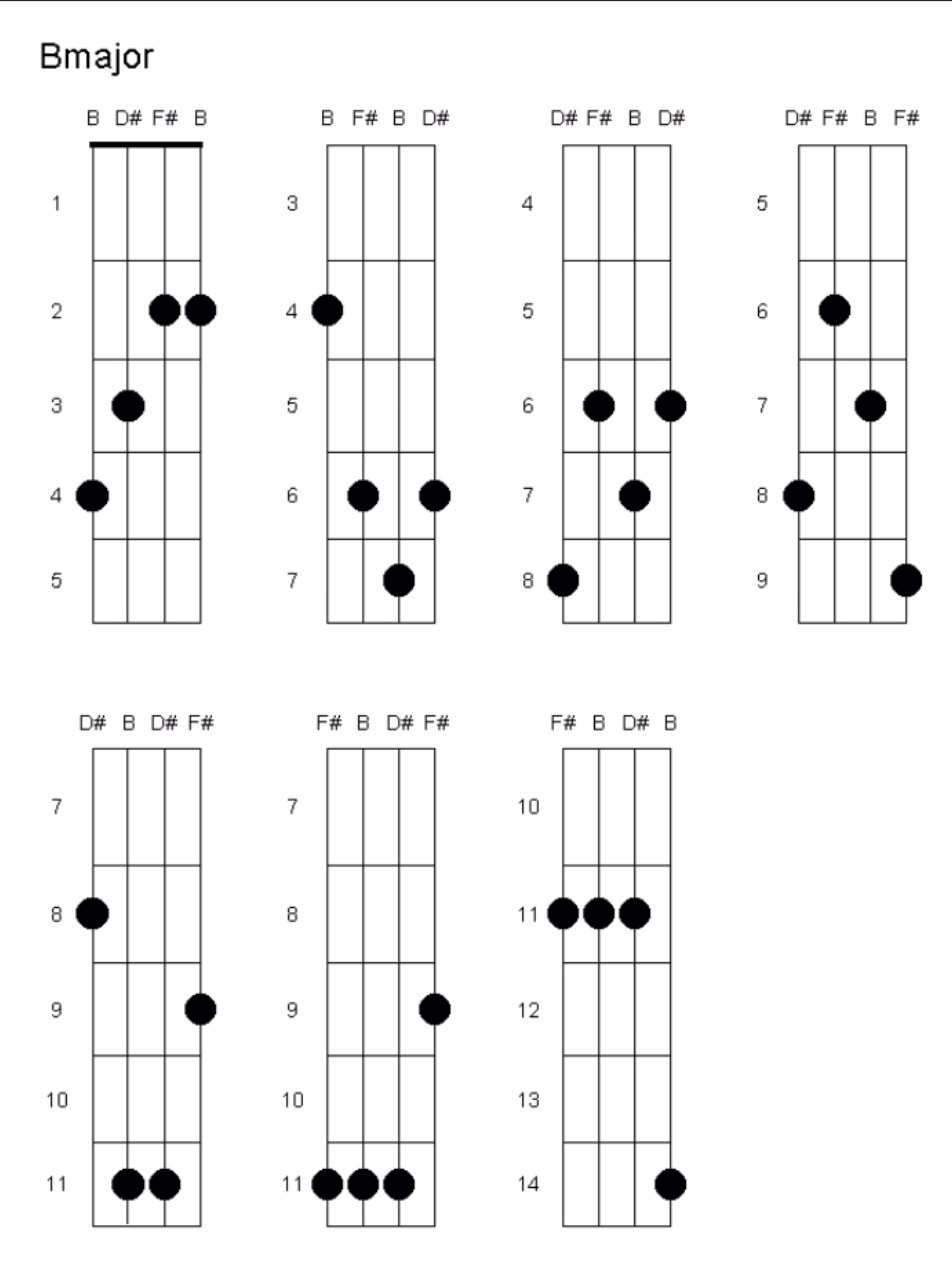 B Chord Guitar Chords How To Play B Major What Is The Finger Placement Music