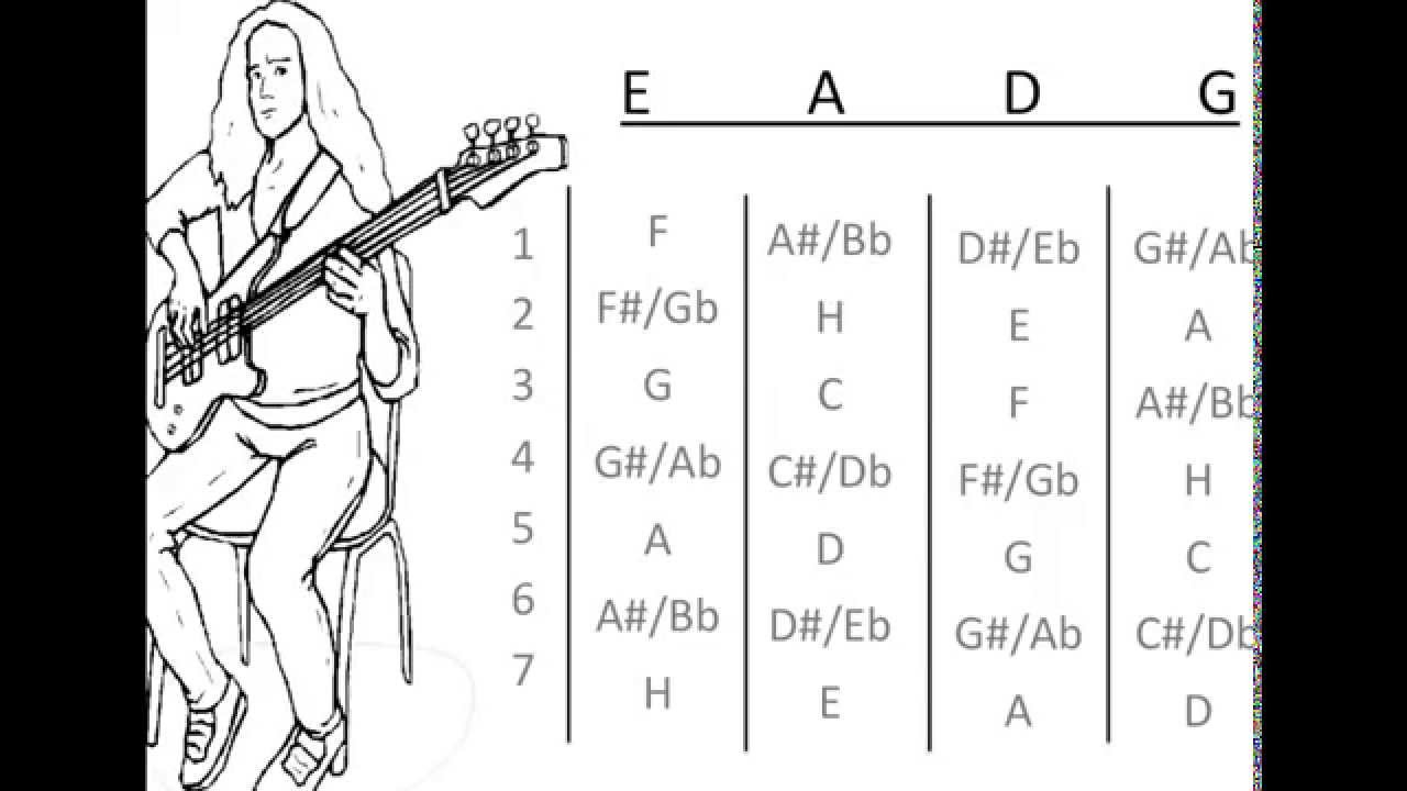 Bass Guitar Chords Basic Bass Guitar Chords