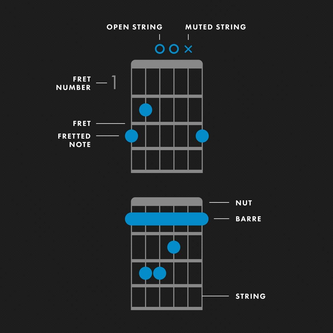 Bm Guitar Chord How To Play Guitar Chords Learn Basic Chords Fender Play