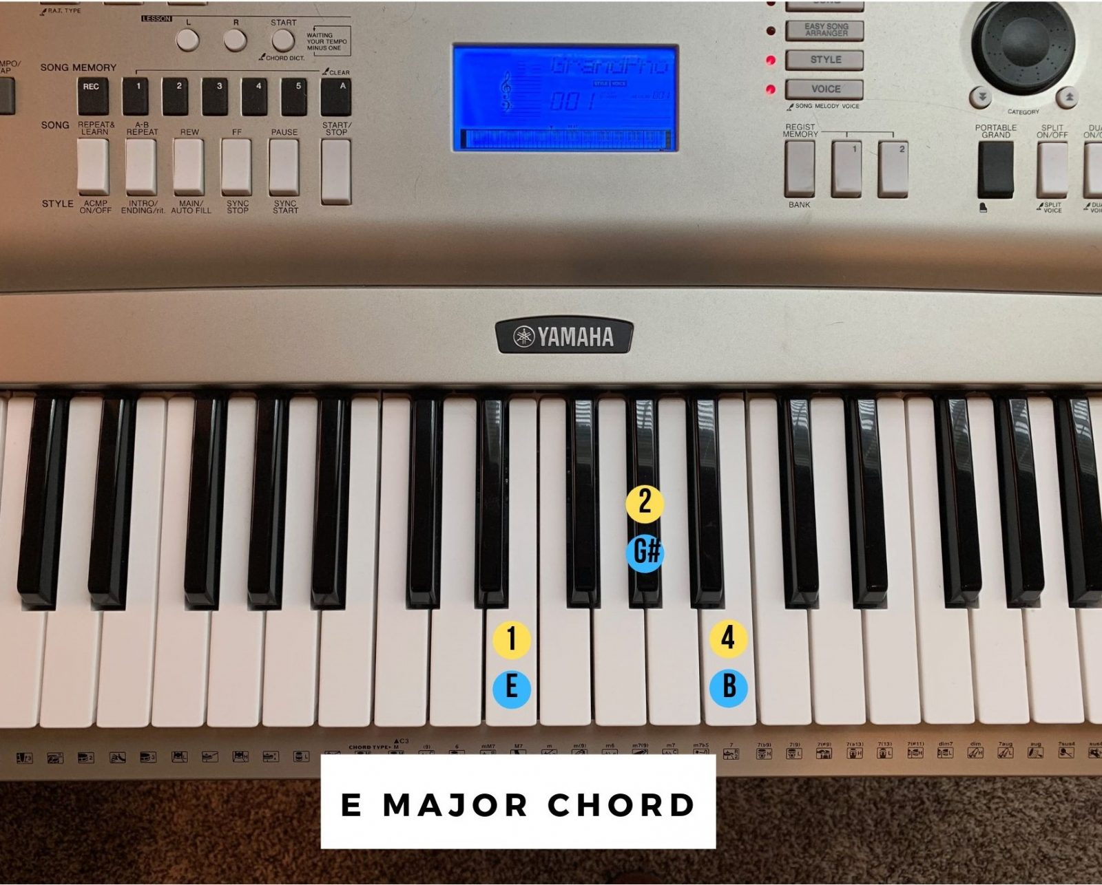G# Piano Chord How To Play Piano The Ultimate Guide Lessons On The Go